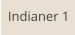 Indianer 1