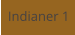 Indianer 1